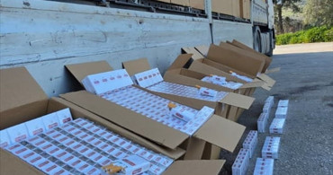 İzmir'de dev kaçak sigara operasyonu: 500 bin paket ele geçirildi