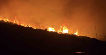 İzmir’de makilik alanda yangın kontrol altına alındı