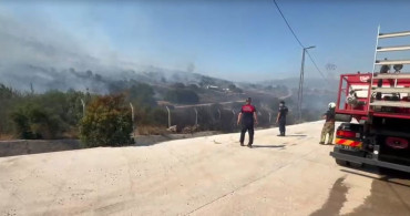 İzmir'de ormanlık alanda yangın, fabrikalar tahliye edildi