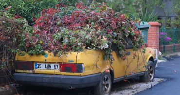 İzmir'de Sarmaşıklarla Kaplanan Park Halindeki Araç