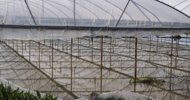 İzmir'de Şubat Ayı Yağış Rekoru: 6 Günde 106,4 Kilogram