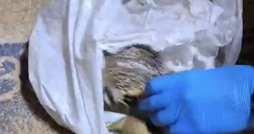 İzmir'de Tarihi Eser Kaçakçılığı Operasyonu