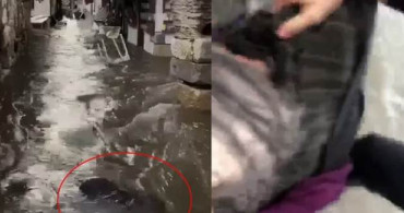 İzmir'de Tsunamide Çekim Yaparken Suda Sürüklenen Babaannesini Gördü