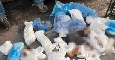 İzmir'deki 33 Ölü Kedi Vahşetinde Soruşturma Derinleşiyor