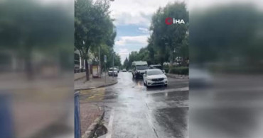 İzmir'deki Kedi Vahşeti: Veteriner Hekim Serbest Bırakıldı, Başsavcılıktan İtiraz