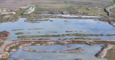 İzmir'deki Kuraklık Durumu Ciddi