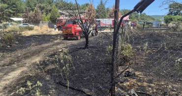 İzmir'deki orman yangınlarında iki gözaltı