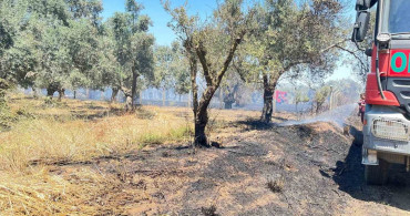 İzmir'in Bayındır ilçesinde çıkan yangın 1 saatte kontrol altına alındı