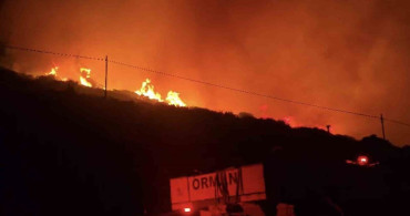 İzmir’in Dikili ilçesinde makilik alanda yangın