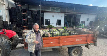 İznik'te İlk Kabak Hasadı Başladı