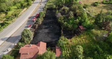 Jandarma, alevlerin arasında kalan kaplumbağa ve yavrularını kurtardı