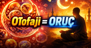 Japon biyologdan hücrenin “iç temizlik” sistemi