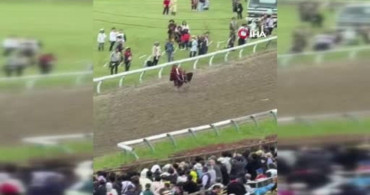 Japonya'da Soma Nomaoi Festivali'nde Kontrolden Çıkan At Kalabalığa Daldı