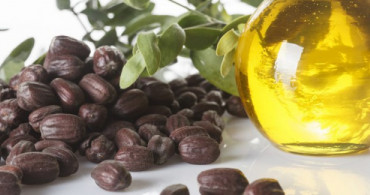 Jojoba Yağı Cilde Nasıl Uygulanır?