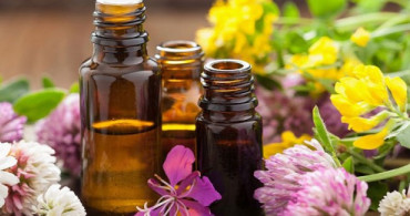 Jojoba Yağı ile Yaralarınızı İyileştirin