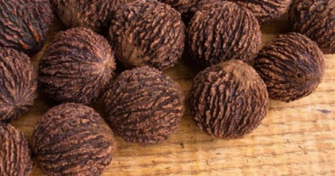 Kabızlığa ve İshale İyi Gelen Kara Cevizin Mucizevi Faydaları