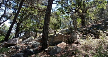 Kaçak Kazı Esnasında Patlama, 1 Kişi Hayatını Kaybetti