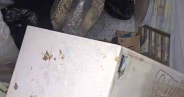 Kaçkar Koçdüzü Yaylası'nda ayı paniği: 20 eve girdi