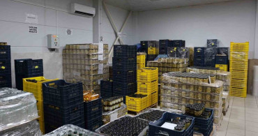 Kadın emeği tarımsal ürün fabrikası ile Efeler'in ekonomik büyümesi