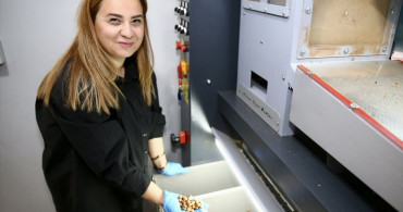 Kadın Girişimciler Fındık Sektöründe Büyüyor