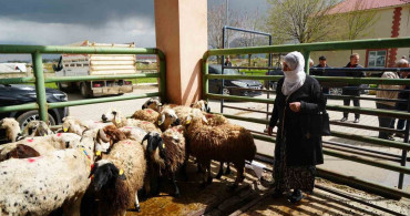 Kadın Üreticilere 3 Bin Küçükbaş Hayvan Desteği