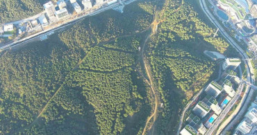 Kağıthane, Yeni Orman Alanlarıyla 'Orman Şehri' Haline Geldi