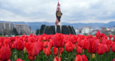 Kahramanmaraş'ta Bahar Renkleri