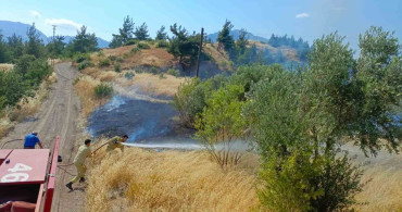 Kahramanmaraş'ta bahçe yangını kontrol altına alındı
