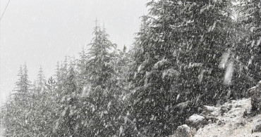 Kahramanmaraş'ta Kar Yağışı Etkisini Gösterdi