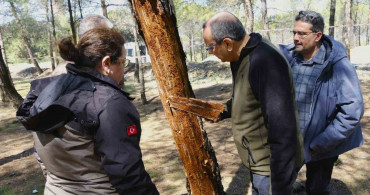 Kahramanmaraş'ta Orman Zararlılarıyla Mücadele İncelendi