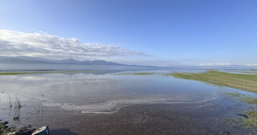 Kahramanmaraş'ta Yağmur Sonrası Tarım Arazileri Sular Altında Kaldı