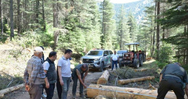 Kahramanmaraş'ta yangın riskine karşı yol kenarlarında temizlik ve bakım