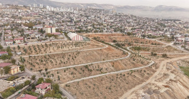 Kahramanmaraş'ta Yeni Karbon Emilimi Projesi: 75 Dönüm Ağaçlandırma Alanı