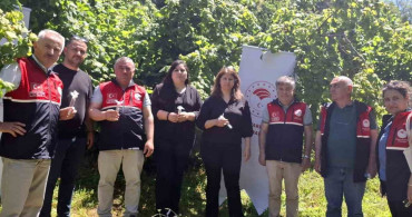 Kahverengi kokarcaya karşı doğaya 5 bin samuray arısı salındı