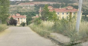 Kaldırımlarda büyüyen otlar, vatandaşlarda yılan korkusuna sebep oluyor