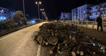 Kamyonun Damperi Açıldı, Odunlar Yola Saçıldı