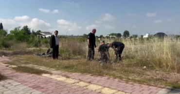 Kanalizasyona Düşen Oğlak İtfaiye Ekipleriyle Kurtarıldı