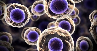 Kanser Tedavisinde Nano Teknoloji Devrimi