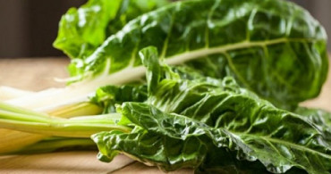 Kansere Çare! 3 Ayda Kanserin Önüne Geçin 