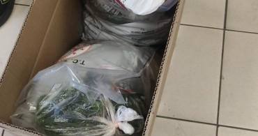 Kapıkule Sınır Kapısı'nda Canlı Yeşil Alg Ele Geçirildi