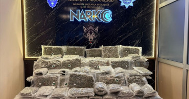 Kapıkule Sınır Kapısı'nda Uyuşturucu Operasyonu