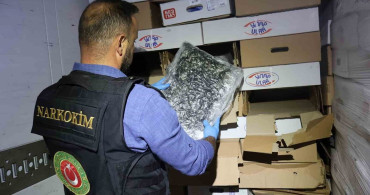 Kapıkule'de tavuk kolilerinden uyuşturucu çıktı: 526 kilo esrar ele geçirildi