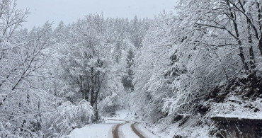 Kar Yağışı Orta ve Doğu Karadeniz'de Hayatı Olumsuz Etkiliyor