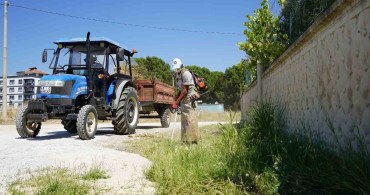 Karaali'de yol kenarları temizlendi