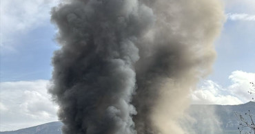 Karabük'te Ahır Yangını: 2 Köpek Hayatını Kaybetti