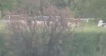 Karabük'te Alkol Altında Çıkan Kavga Kameralara Yansıdı