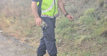 Karabük'te jandarma, alevlerin arasındaki kaplumbağa ve yavrularını kurtardı