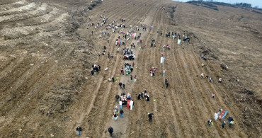 Karabük'te Yangın Bölgesine 2 Bin 26 Fidan Dikildi