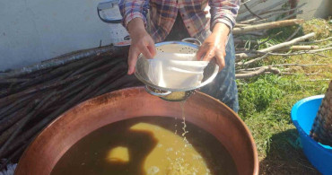 Karadeniz'de dut pekmezi mesaisi başladı