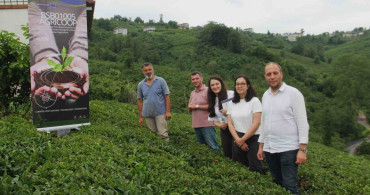 Karadeniz'de istilacı türlerin tarım ürünleri üzerindeki etkileri inceleniyor